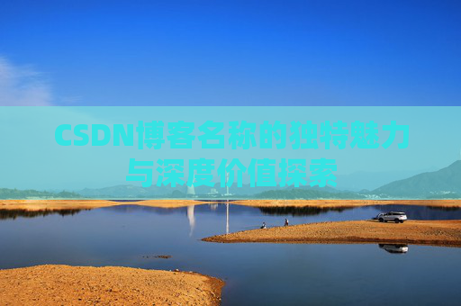 CSDN博客名称的独特魅力与深度价值探索
